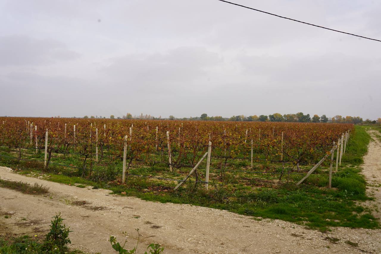 Минимущество продолжает работу по предоставлению земель участникам СВО